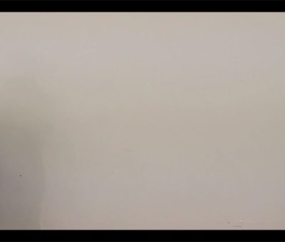 Video: Willem Wilhelmus