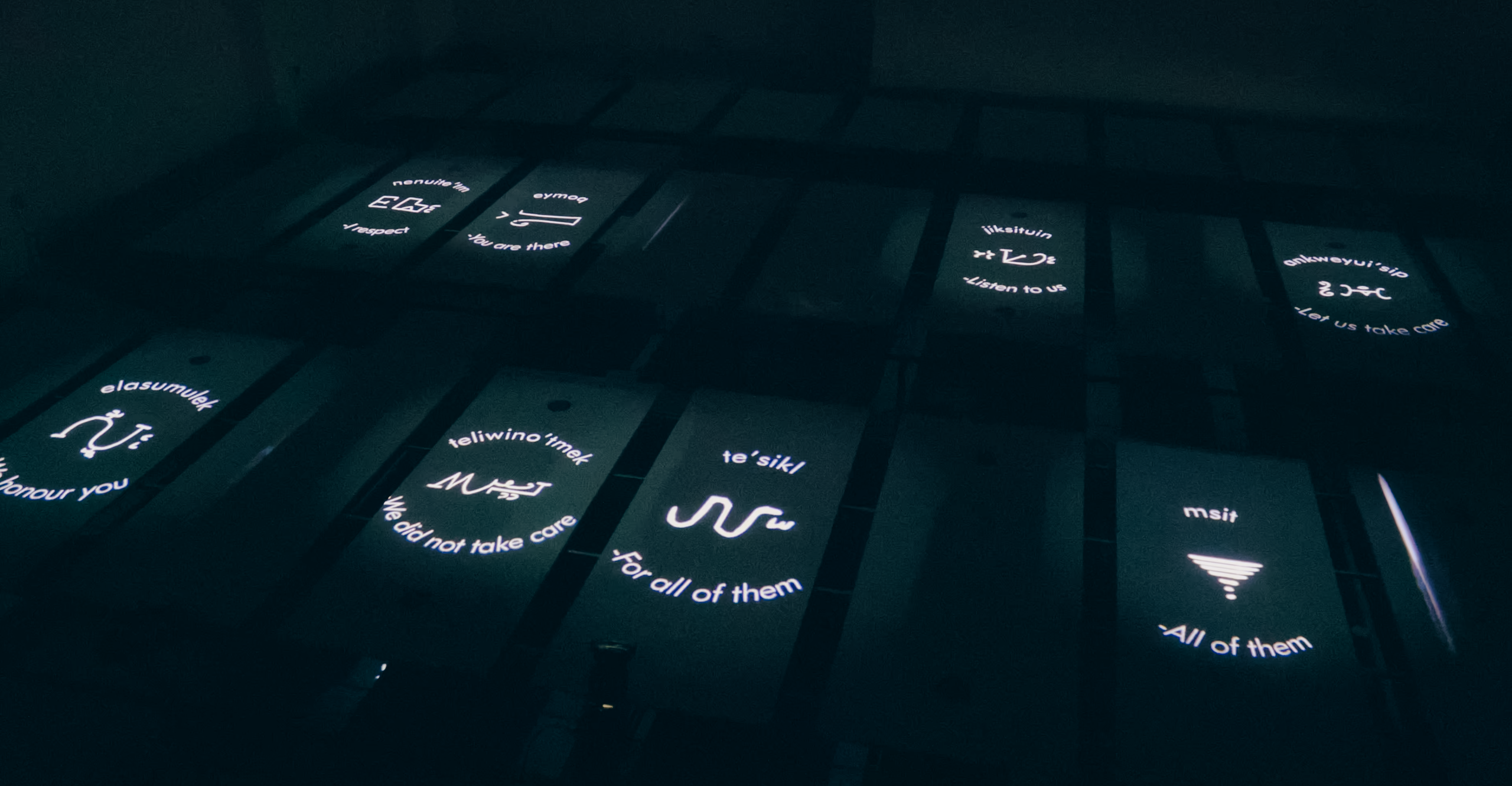 A darkened celling is filled with light projections of sinuous forms and words. One reads, teliwino'tmek - we did not take care, another reads, msit - all of them.